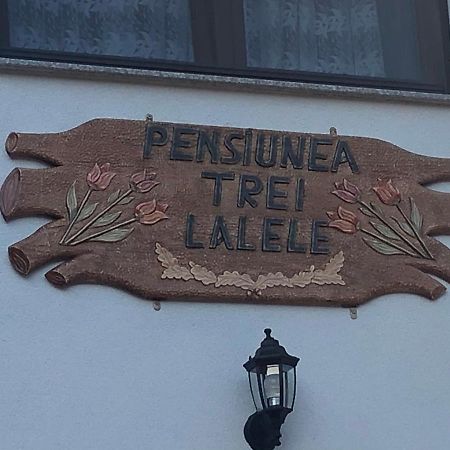 Pensiunea Trei Lalele Moisei Esterno foto