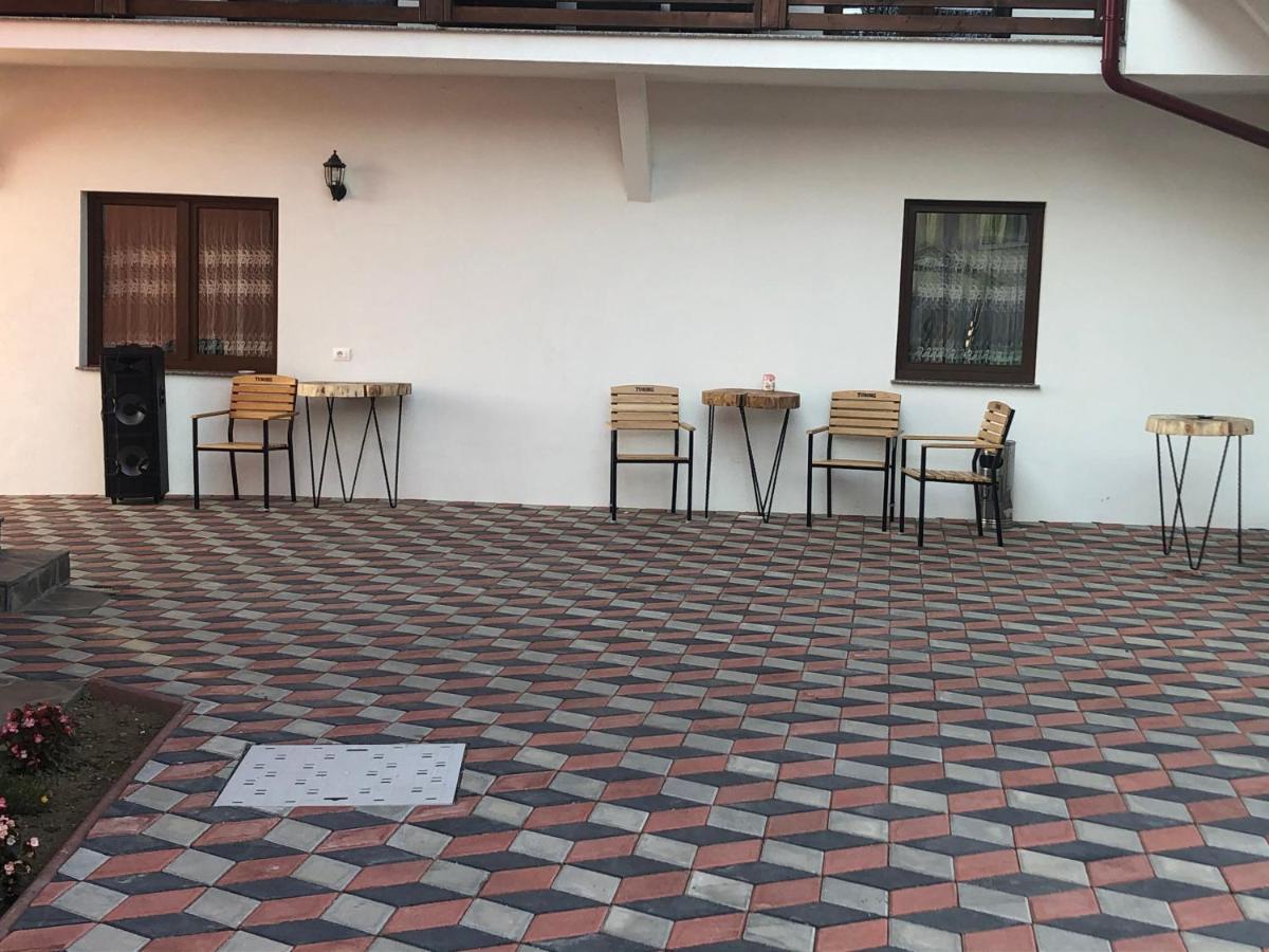 Pensiunea Trei Lalele Moisei Esterno foto