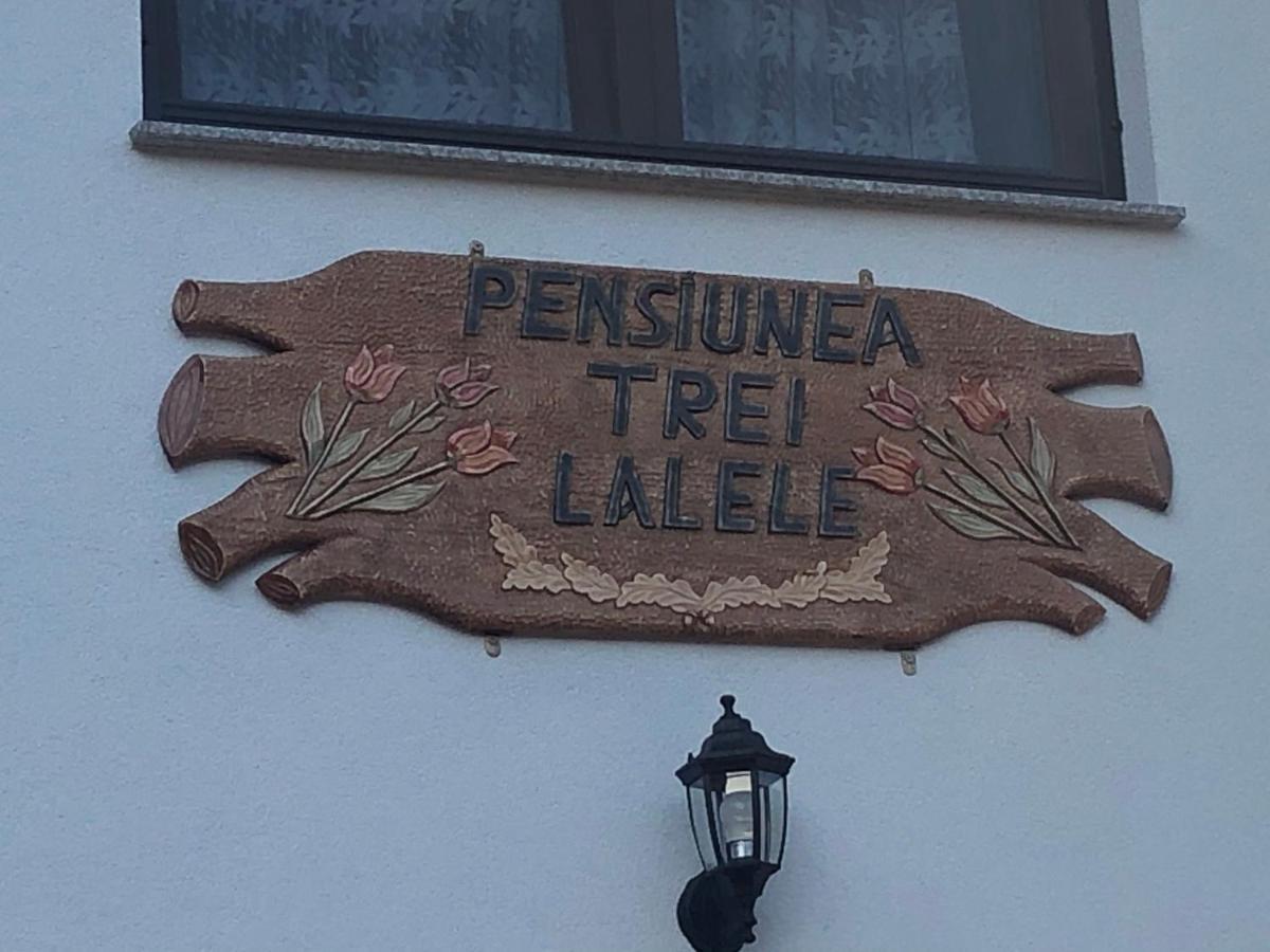 Pensiunea Trei Lalele Moisei Esterno foto