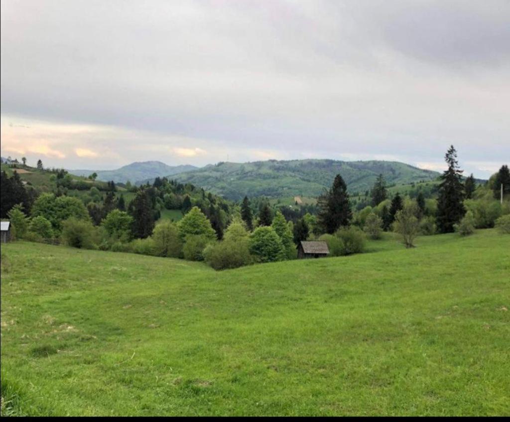 Pensiunea Trei Lalele Moisei Esterno foto