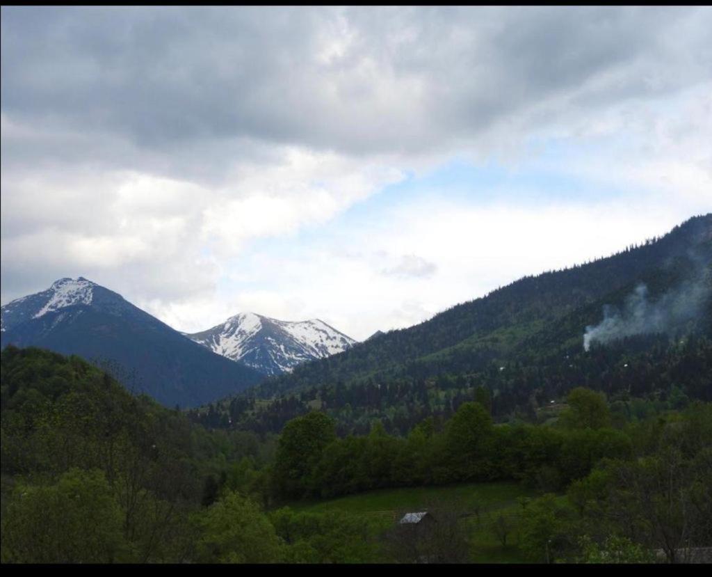 Pensiunea Trei Lalele Moisei Esterno foto