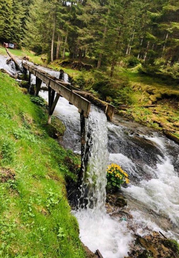Pensiunea Trei Lalele Moisei Esterno foto
