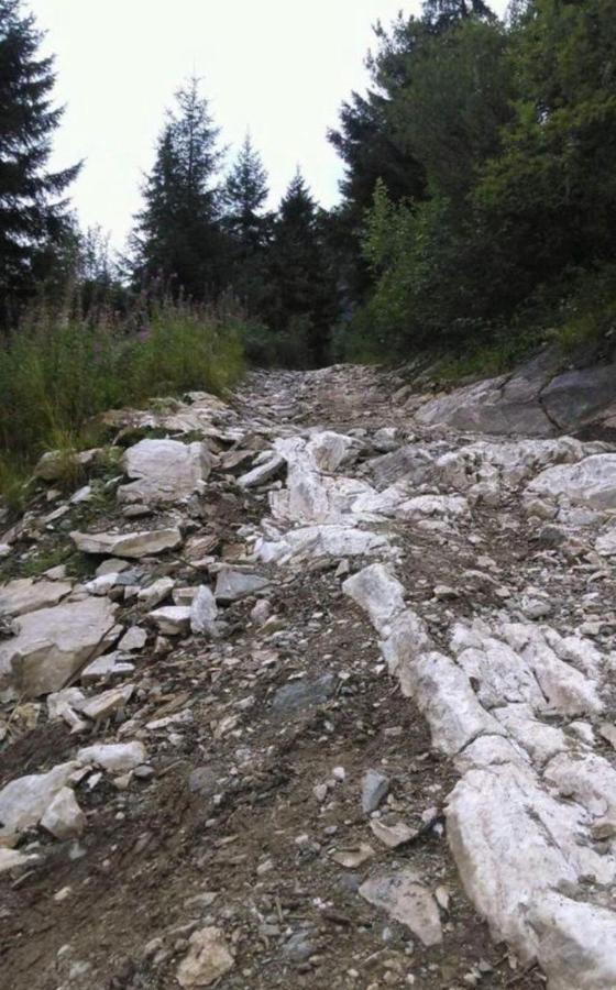 Pensiunea Trei Lalele Moisei Esterno foto